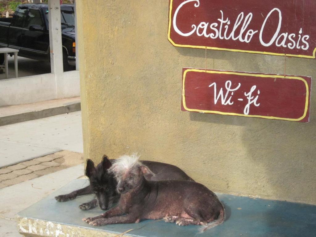 Castillo Oasis Zipolite Exteriör bild